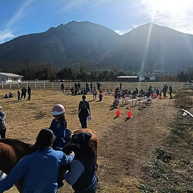 FOTO NOTA EQUINOTERAPIA